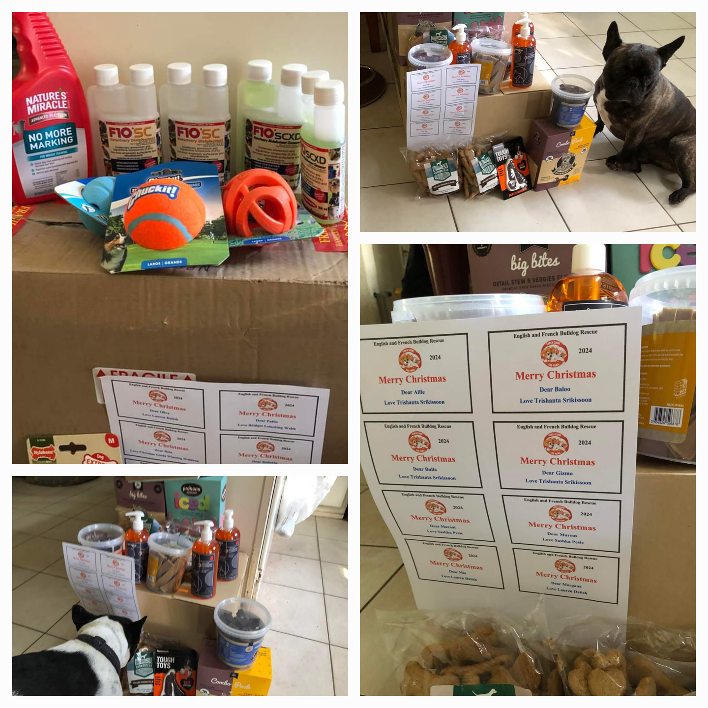 English & French Bulldog Rescue